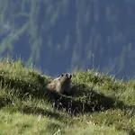 Berghaus Obergmeind *