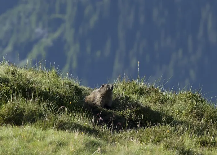 Berghaus Obergmeind *